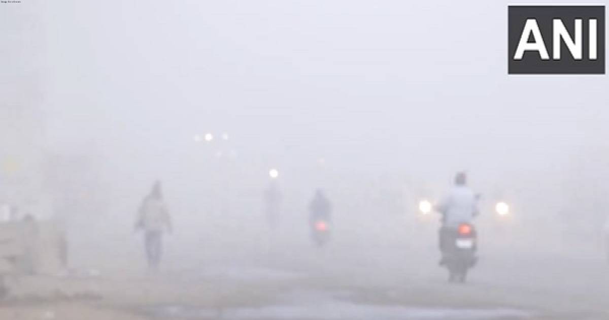 MP: Cold, dense fog engulfs in Bhopal; Met office predicts light rainfall in Gwalior Chambal region in next 24 hours